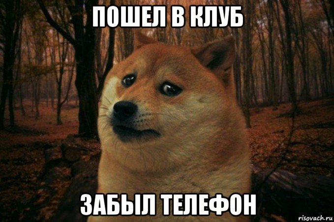 пошел в клуб забыл телефон, Мем SAD DOGE