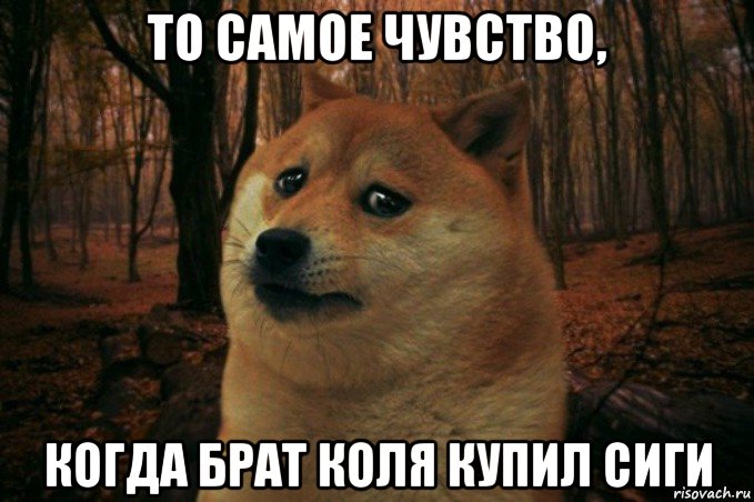 то самое чувство, когда брат коля купил сиги, Мем SAD DOGE