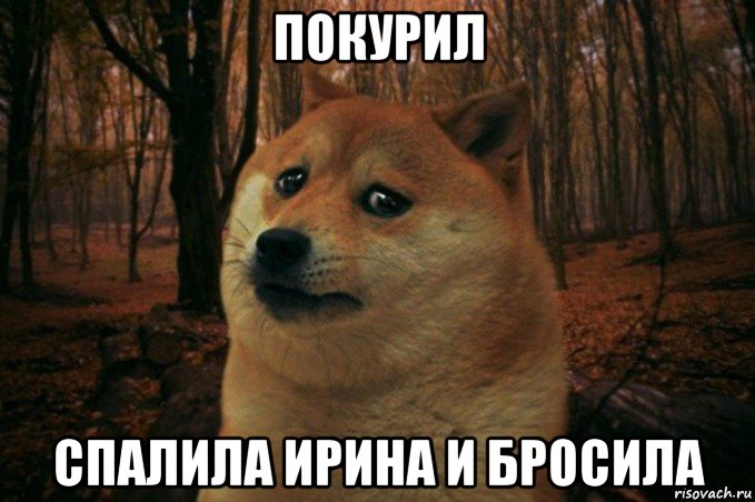 покурил спалила ирина и бросила, Мем SAD DOGE