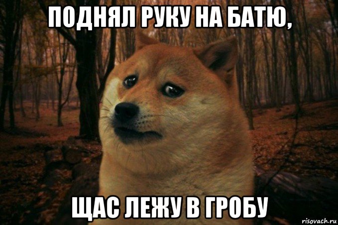 поднял руку на батю, щас лежу в гробу, Мем SAD DOGE