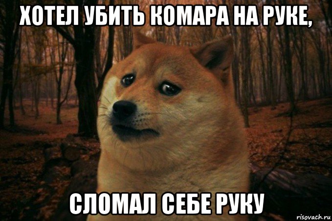 хотел убить комара на руке, сломал себе руку, Мем SAD DOGE