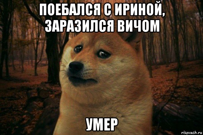 поебался с ириной, заразился вичом умер, Мем SAD DOGE