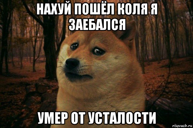 нахуй пошёл коля я заебался умер от усталости, Мем SAD DOGE