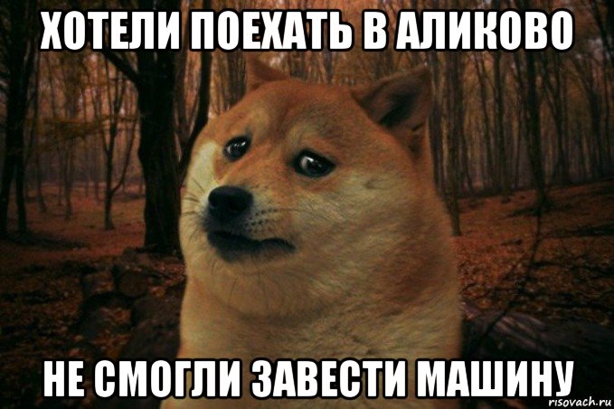 хотели поехать в аликово не смогли завести машину, Мем SAD DOGE