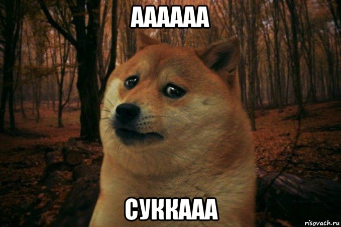 аааааа суккааа, Мем SAD DOGE