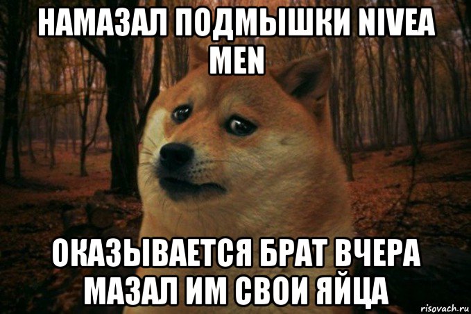 намазал подмышки nivea men оказывается брат вчера мазал им свои яйца, Мем SAD DOGE