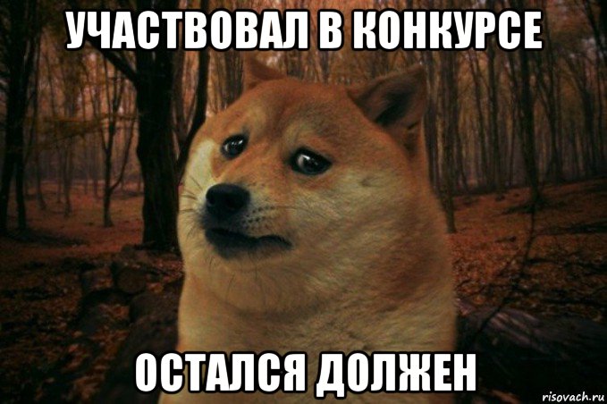 участвовал в конкурсе остался должен, Мем SAD DOGE