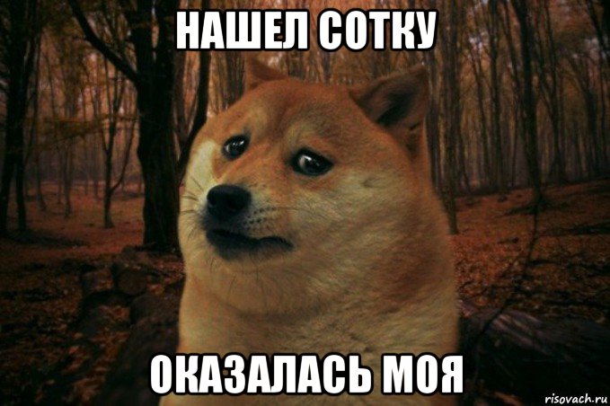 нашел сотку оказалась моя, Мем SAD DOGE