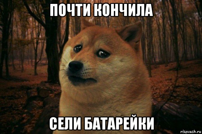 почти кончила сели батарейки, Мем SAD DOGE