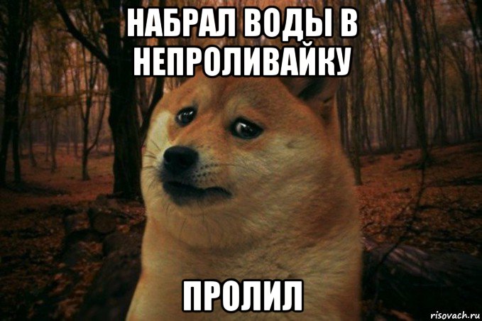 набрал воды в непроливайку пролил, Мем SAD DOGE