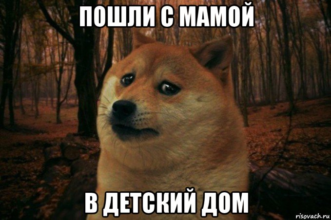 пошли с мамой в детский дом, Мем SAD DOGE