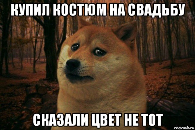 купил костюм на свадьбу сказали цвет не тот, Мем SAD DOGE