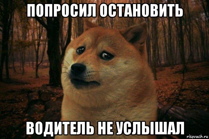 попросил остановить водитель не услышал, Мем SAD DOGE