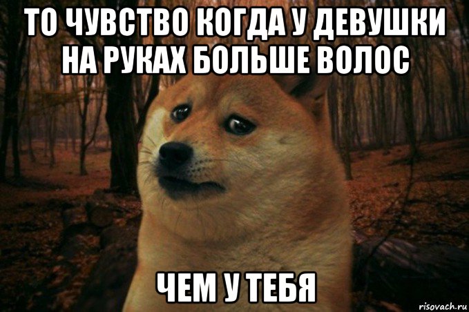 то чувство когда у девушки на руках больше волос чем у тебя, Мем SAD DOGE