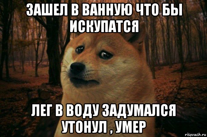 зашел в ванную что бы искупатся лег в воду задумался утонул , умер, Мем SAD DOGE