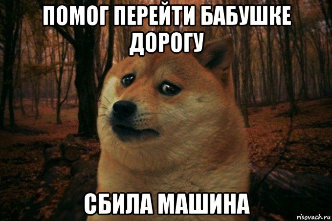 помог перейти бабушке дорогу сбила машина, Мем SAD DOGE