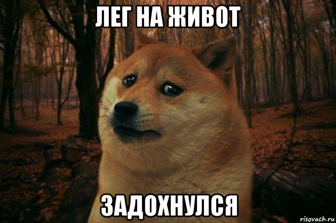 лег на живот задохнулся, Мем SAD DOGE