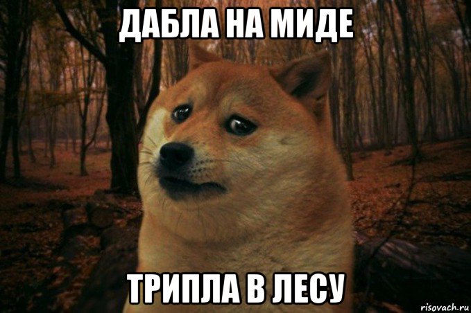 дабла на миде трипла в лесу, Мем SAD DOGE