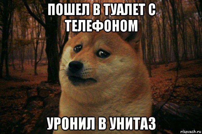 пошел в туалет с телефоном уронил в унитаз, Мем SAD DOGE