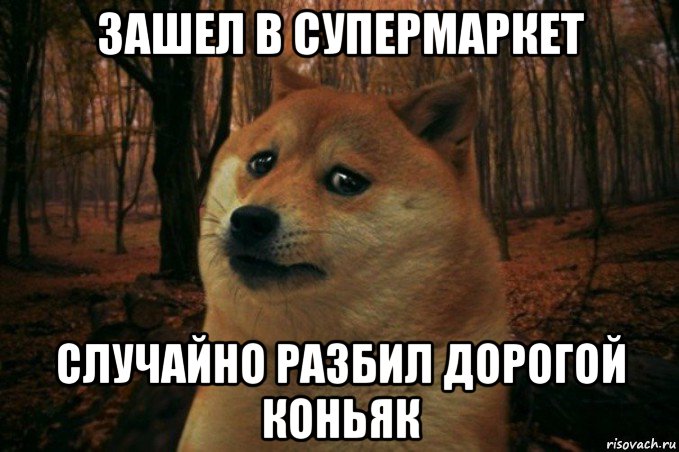 зашел в супермаркет случайно разбил дорогой коньяк, Мем SAD DOGE