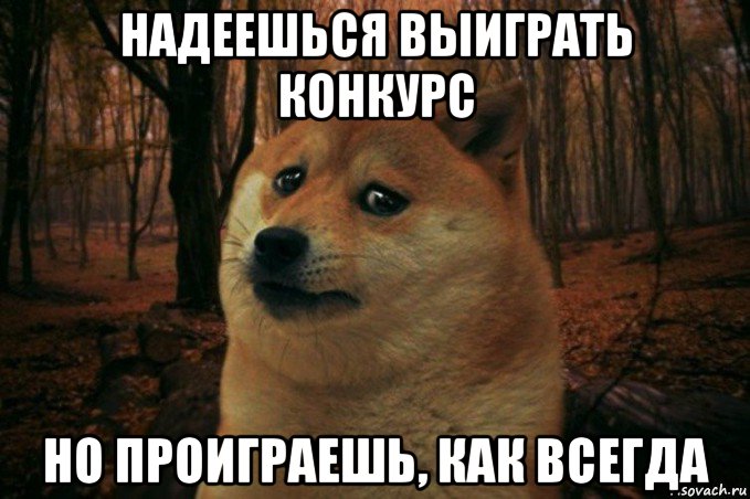 надеешься выиграть конкурс но проиграешь, как всегда, Мем SAD DOGE