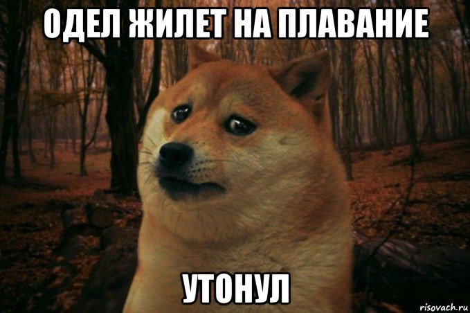 одел жилет на плавание утонул, Мем SAD DOGE