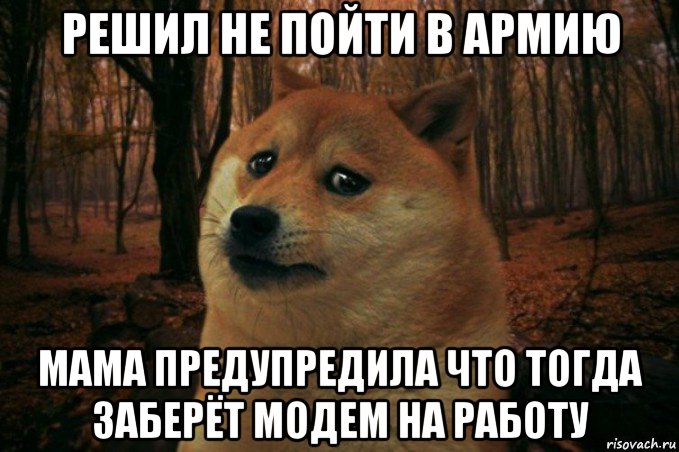 решил не пойти в армию мама предупредила что тогда заберёт модем на работу, Мем SAD DOGE