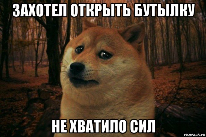 захотел открыть бутылку не хватило сил, Мем SAD DOGE