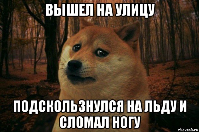 вышел на улицу подскользнулся на льду и сломал ногу, Мем SAD DOGE