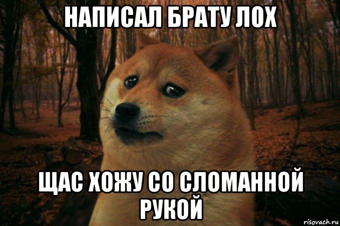 написал брату лох щас хожу со сломанной рукой, Мем SAD DOGE