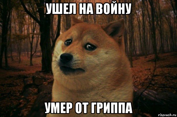 ушел на войну умер от гриппа, Мем SAD DOGE