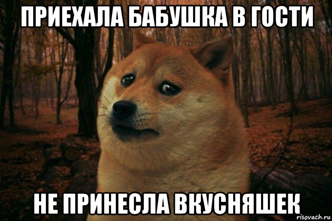 приехала бабушка в гости не принесла вкусняшек, Мем SAD DOGE