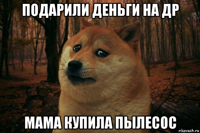 подарили деньги на др мама купила пылесос, Мем SAD DOGE