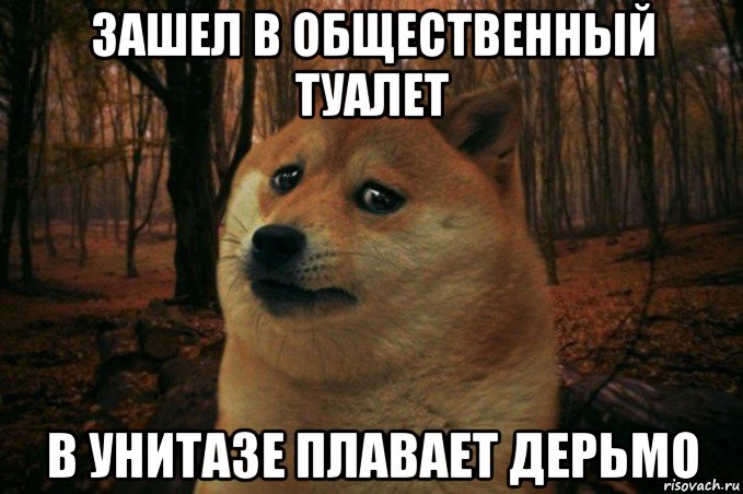 зашел в общественный туалет в унитазе плавает дерьмо, Мем SAD DOGE