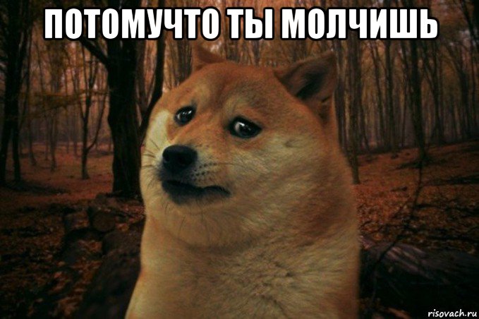 потомучто ты молчишь , Мем SAD DOGE