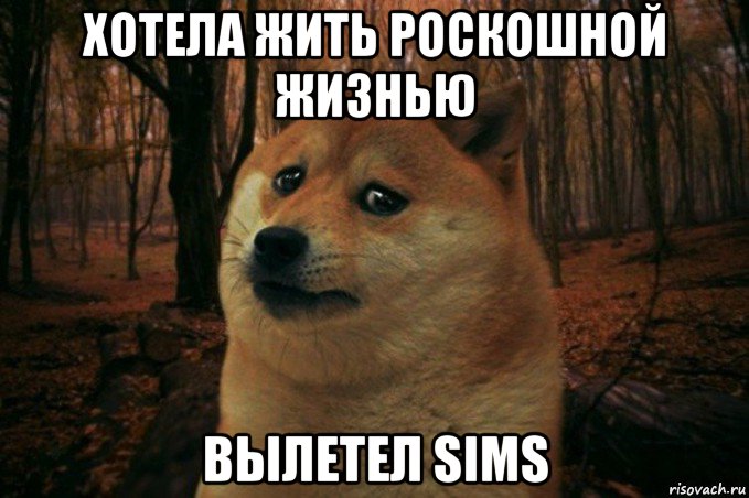 хотела жить роскошной жизнью вылетел sims, Мем SAD DOGE