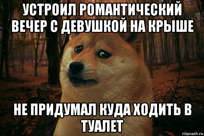 устроил романтический вечер с девушкой на крыше не придумал куда ходить в туалет