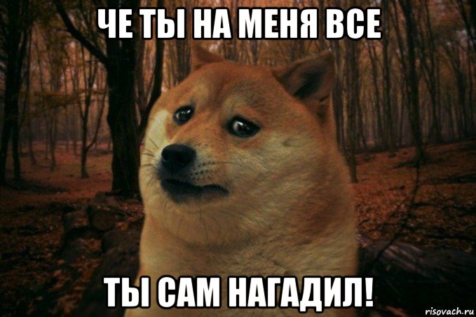 че ты на меня все ты сам нагадил!, Мем SAD DOGE