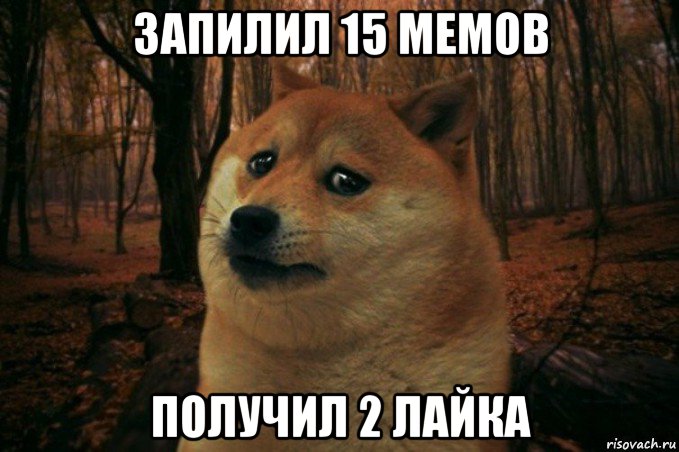 запилил 15 мемов получил 2 лайка, Мем SAD DOGE