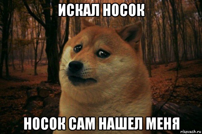 искал носок носок сам нашел меня, Мем SAD DOGE