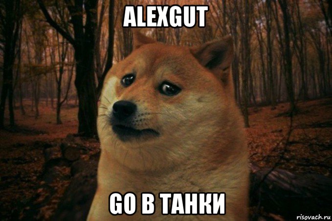 alexgut go в танки, Мем SAD DOGE