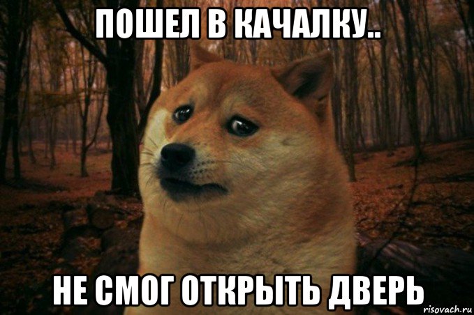 пошел в качалку.. не смог открыть дверь, Мем SAD DOGE