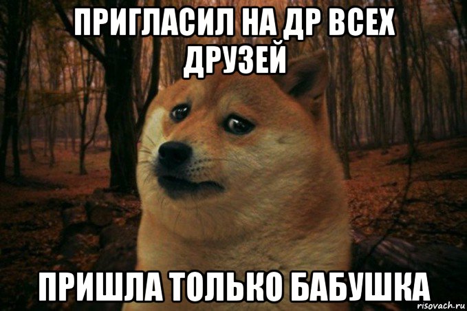 пригласил на др всех друзей пришла только бабушка, Мем SAD DOGE