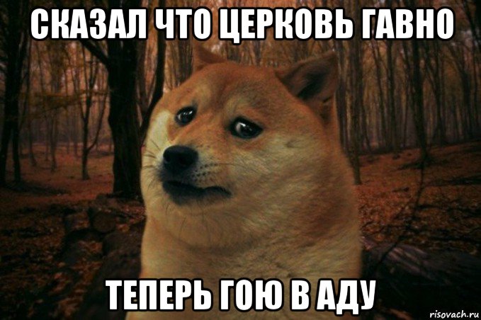 сказал что церковь гавно теперь гою в аду, Мем SAD DOGE