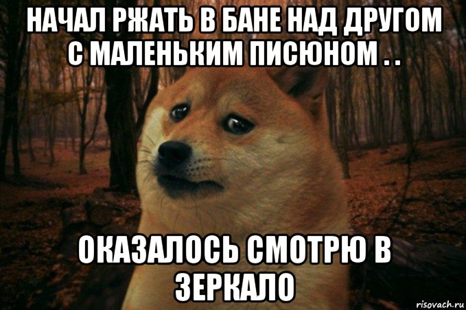 начал ржать в бане над другом с маленьким писюном . . оказалось смотрю в зеркало, Мем SAD DOGE