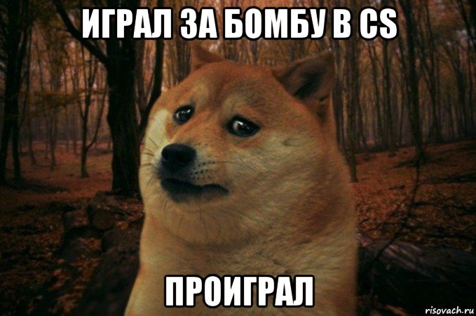 играл за бомбу в cs проиграл, Мем SAD DOGE