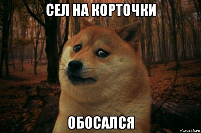 сел на корточки обосался, Мем SAD DOGE