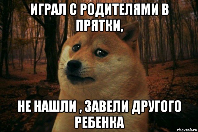 играл с родителями в прятки, не нашли , завели другого ребенка, Мем SAD DOGE