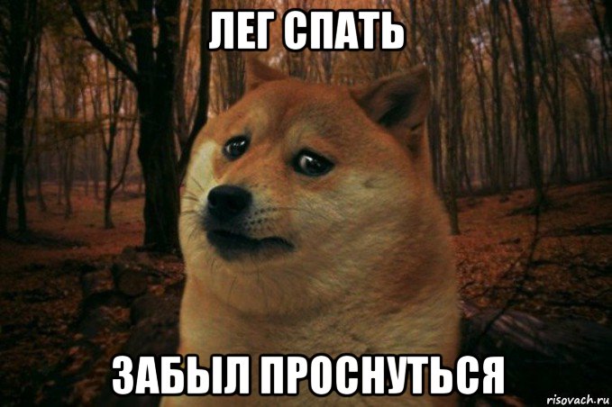 лег спать забыл проснуться, Мем SAD DOGE