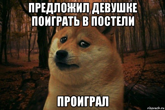 предложил девушке поиграть в постели проиграл, Мем SAD DOGE